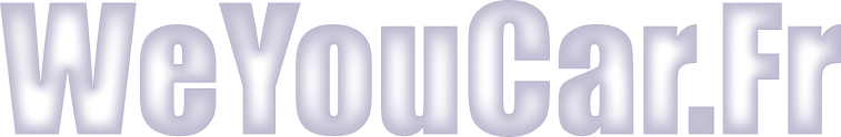 Logo WeYouCar